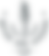 partner-logo